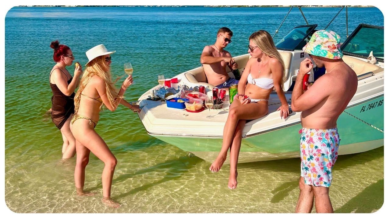 private boat tours sarasota-dolphin boat tours sarasota